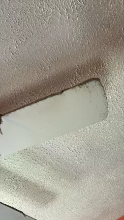 Dirty ceiling fan with dust buildup on blades before move-out cleaning